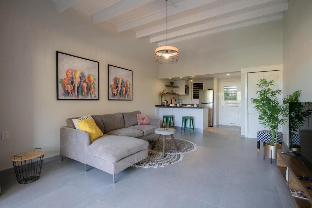 Casa Arte- Exclusive Apartment With Internet And Pool Santa Catharina Exteriér fotografie